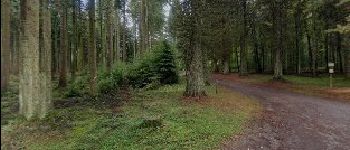 Point of interest Libin - Bivouac 1 (Aire du Biolin) - Photo