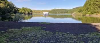 Point d'intérêt Compains - Lac Moncineyre - Photo