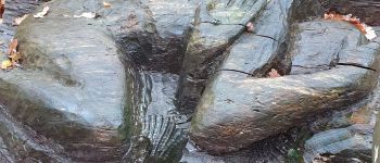 Point of interest Fontainebleau - Unnamed POI - Photo