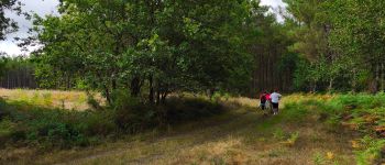 POI Linxe - fromage - Photo