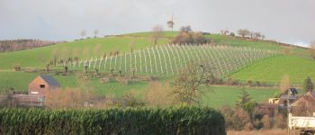 Point d'intérêt Plombières - Vignes de la croix de Hombourg - Photo