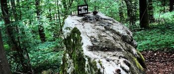 Point d'intérêt Anhée - La Pierre du Diable - Photo