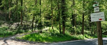Punto di interesse Assesse - Début de la jonction de Crupet vers Bauche - Photo