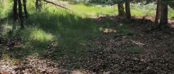 Punto di interesse Ingwiller - Unnamed POI - Photo