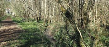 Point d'intérêt Chaumont-Gistoux - Ry des Papeteries en bas du Sentier du Bloquia - Photo