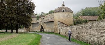 Point d'intérêt Échiré - Château de la Taillée - Photo