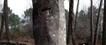 POI Carnac - Géant de Manio - Photo