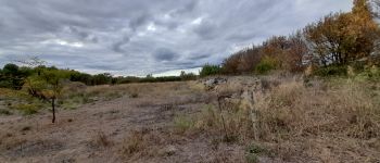 POI Capestang - Une biodiversité protégée  - Photo