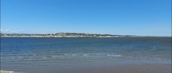 Point d'intérêt  - Tayport Harbour - Photo