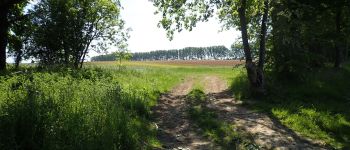 Punto di interesse Chaumont-Gistoux - Vue est en direction de Gistoux - Photo