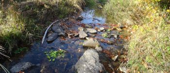 Punto de interés Habay - Site sensible  BIODIVERSITE - Photo