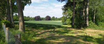 Punto di interesse Chaumont-Gistoux - Vue ouest en direction du domaine du Château de Vieusart - Photo