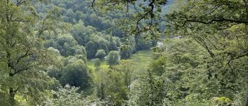 Point d'intérêt Bouillon - point de vue km 2  - Photo