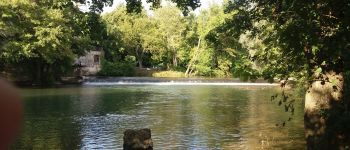 Point d'intérêt Voulangis - Le Grand-Morin à Crécy-La-Chapelle - Photo