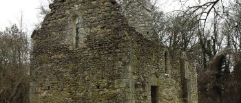 Point d'intérêt Le Vaudoué - Chapelle de Fourche - Photo