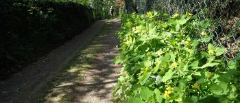 Point d'intérêt Chaumont-Gistoux - Rue Brûlotte - Photo