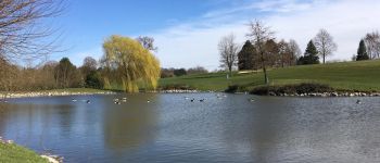 Point d'intérêt Villers-la-Ville - Vue sud-ouest sur un des étangs du golf de Rigenée - Photo