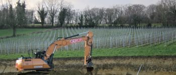 POI Blieberg - Vigne de Ter Berg (le chai) - Photo