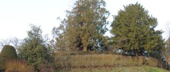 Point d'intérêt Courville-sur-Eure - La Motte castrale - Photo