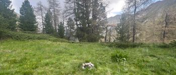 Point d'intérêt Ceillac - Bivouac sympa - Photo