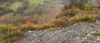 Point of interest Cormot-Vauchignon - Anneau - Photo