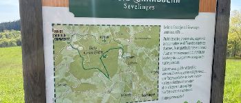 Punto de interés Sevelinges - Parcours forestier de découverte - Photo
