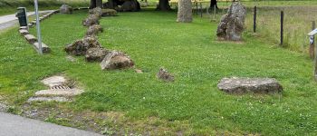 Punto di interesse Durbuy - Dolmen de Wéris - Photo