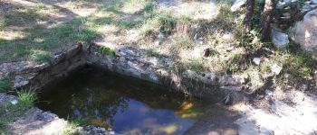 Punto de interés Loubressac - Dolmen - Photo