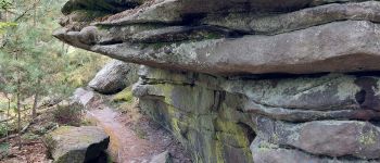 Point d'intérêt Fontainebleau - T - Photo