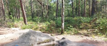 Point d'intérêt Fontainebleau - Le lavabo du Chasseur noir - Photo