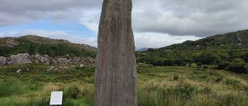 Point of interest West Cork - stone of ogham - Photo