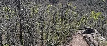 Point of interest Oberhaslach - Ruines du Nideck - Photo