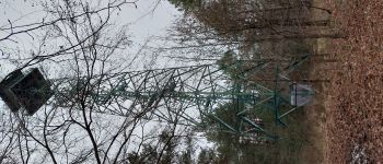 Point d'intérêt Fontainebleau - Tour de guet - Photo