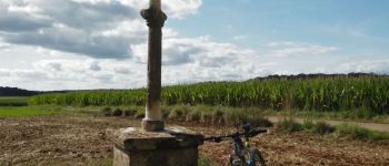 Point d'intérêt Rouvroy - Croix des Aisements - Photo