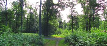 Point d'intérêt Choisy-au-Bac - Point 5 - Photo