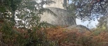 Punto de interés Fontainebleau - Tour Denecourt - Photo