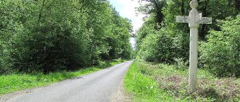 Point d'intérêt Saint-Crépin-aux-Bois - Point 12 - Photo