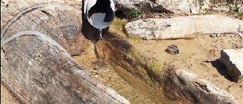 Point d'intérêt Gresse-en-Vercors - Fontaine des endettés - Photo