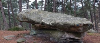 Punto di interesse Fontainebleau - Unnamed POI - Photo