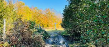 Point d'intérêt Saint-Jean-aux-Bois - Point 3 - Photo