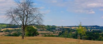 Point of interest Herve - 4880 Val Dieur vue du clocher - Photo