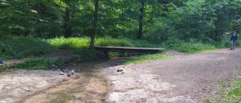 Point d'intérêt Consdorf - Petit pont ou passage à gué - Photo