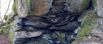 Punto di interesse Fontainebleau - Unnamed POI - Photo