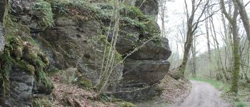 Point d'intérêt Libin - La roche de nutons - Photo