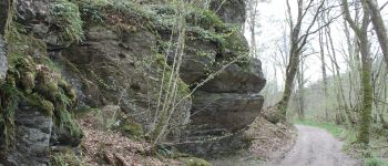 Punto de interés Libin - La roche de nutons - Photo