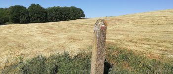 Point d'intérêt Ittre - Monolithe dans la prairie (GR12) - Photo