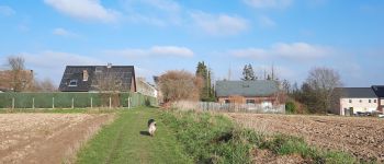 POI Villers-la-Ville - Arrivée à Dreumont. - Photo