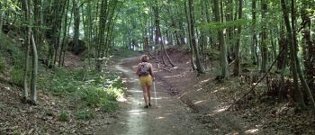 Point d'intérêt Gembloux - Vue est dans le bois de Chenémont - Photo