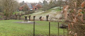 Punto di interesse Mont-Saint-Guibert - Vallée du Ruchaux - Photo