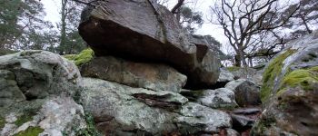 Point d'intérêt Fontainebleau - R - Bière de Biera - Photo